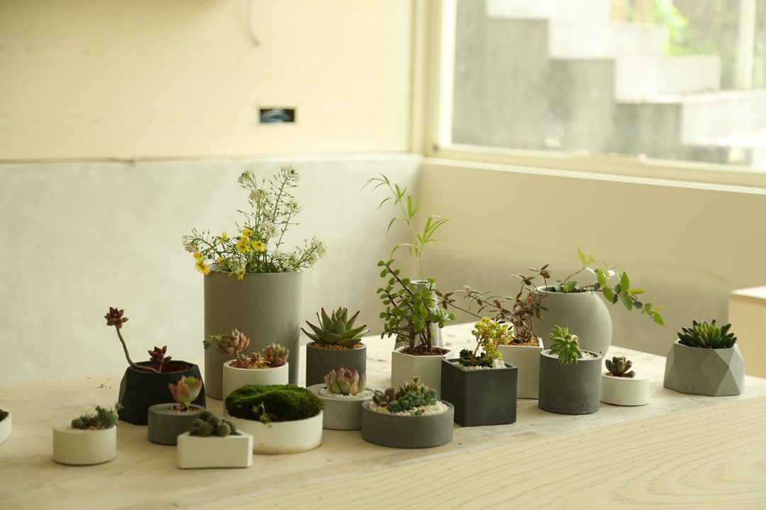 microcement-concrete-gardening-flower-pot
