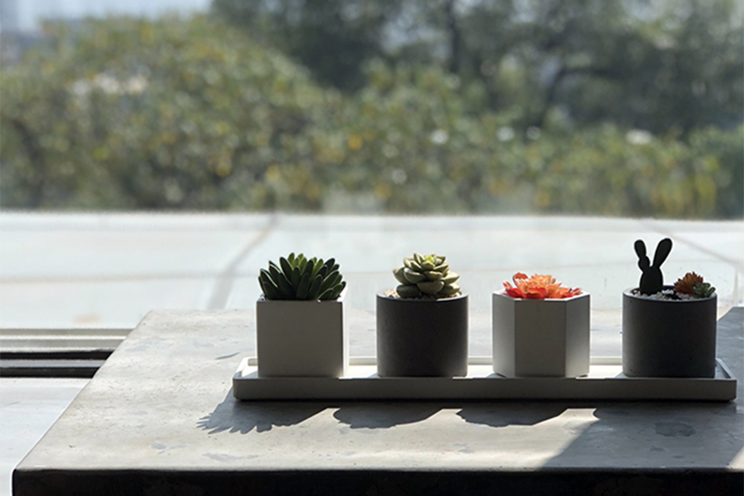 Concrete Flower Pots Assortment