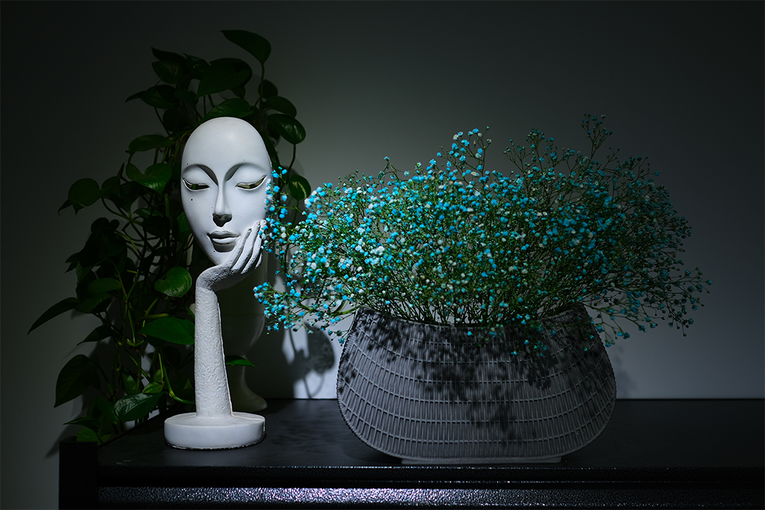 Indoor Use of Concrete Flower Pots