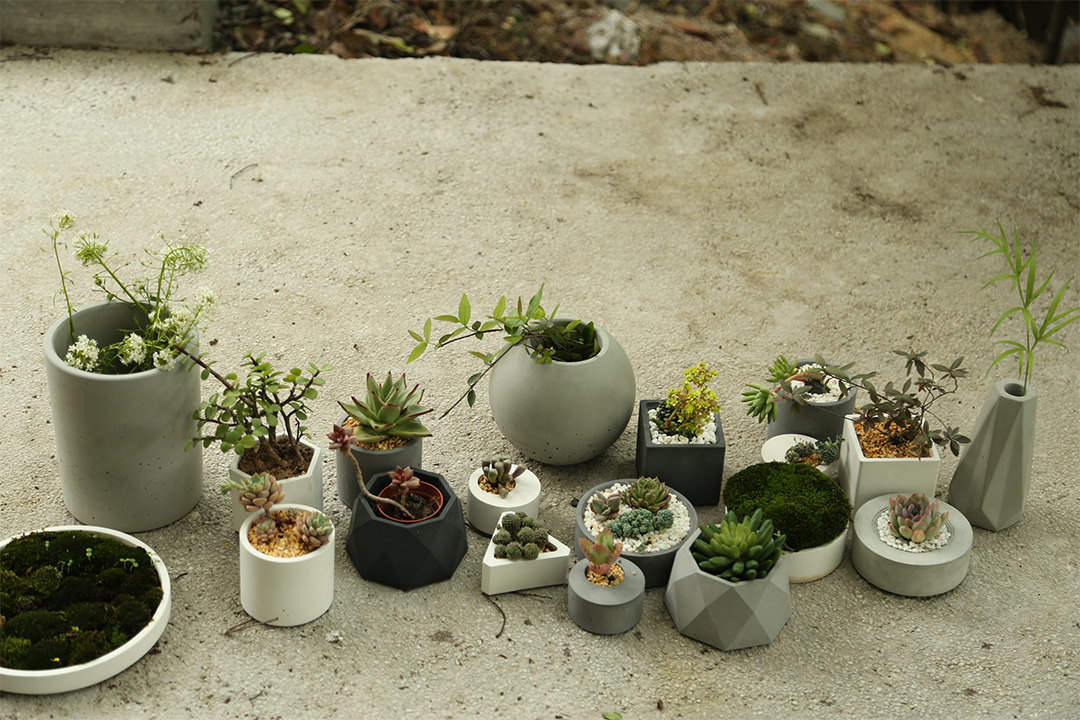 Variety of JUE1 concrete flower pots showcasing aesthetic versatility and durability for global B2B clients