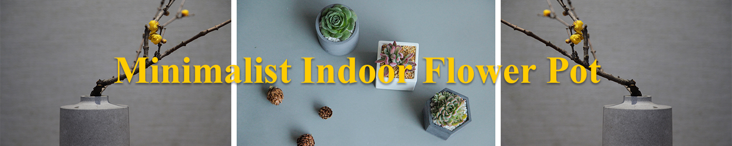 Minimalist Indoor Flower Pot