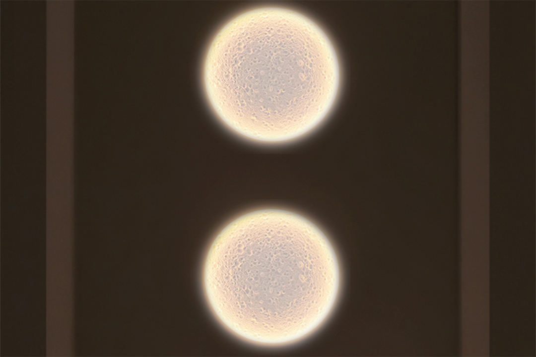 moonscape wall lamp04